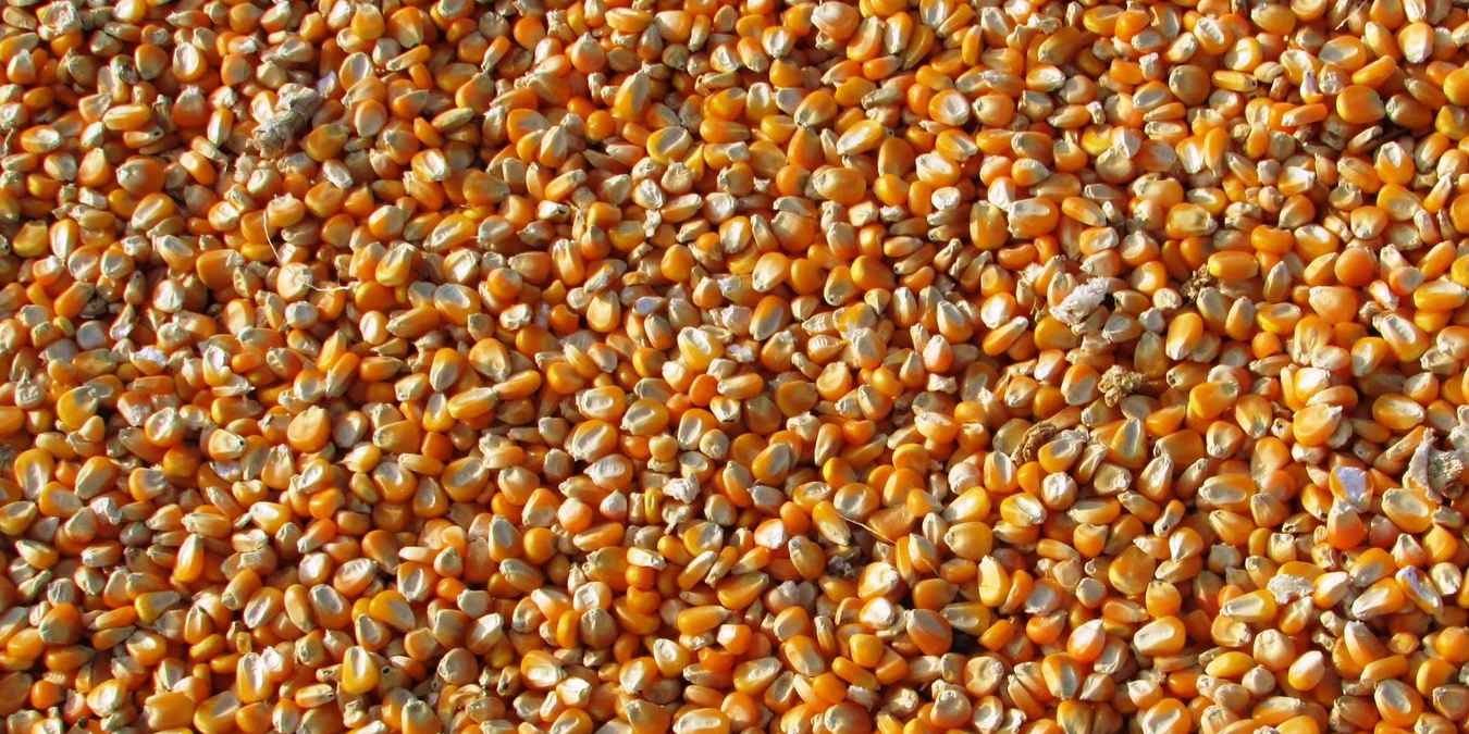 Linux Kernel 5 7 Details Featured Image 2