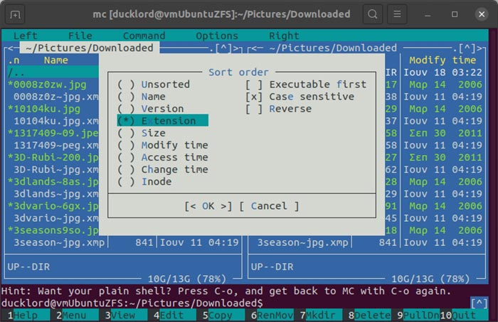 Manage Archives With Mc Sort By Extension