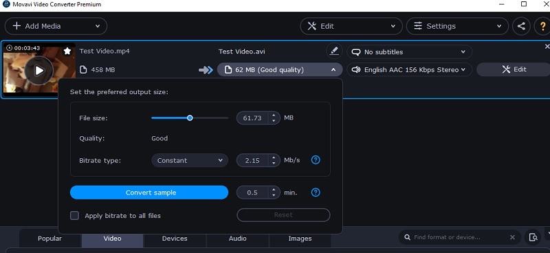 Movavi Video Converter 20 Premium Convert Sample
