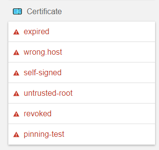 Chrome Privacy Error Tests