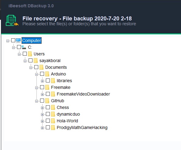 Ibeesoft File Recovery