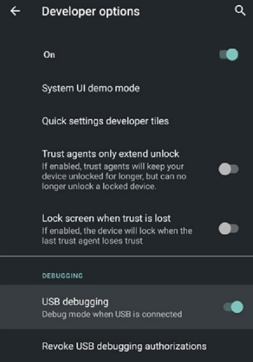 How To Enable The Hidden Screen Recorder In Android 10 Usb Debugging