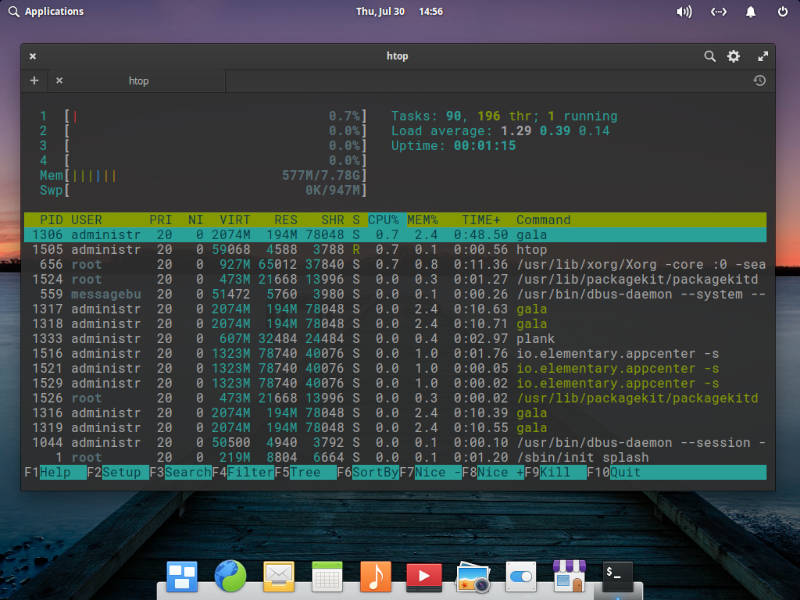 Pantheon Htop