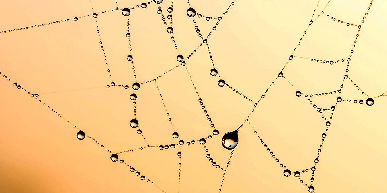 Glossary: Networking Terms and Their Meanings