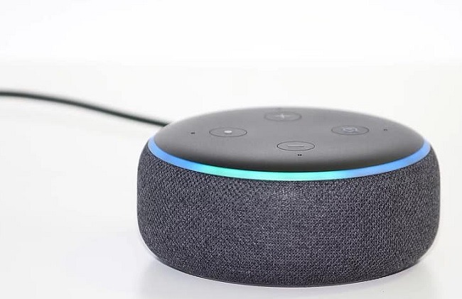 Benefits Of The Echo Flex Over Other Echo Products Cable