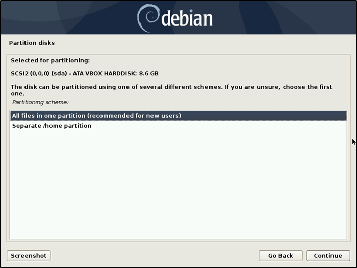 Debian Install Set Partition