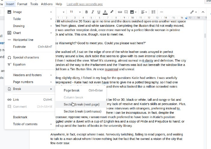 Image showing the options for section breaks in Google Docs.