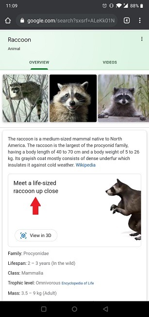 How To Google 3d Objects Search Animal How To Google 3d Objects Search Animal