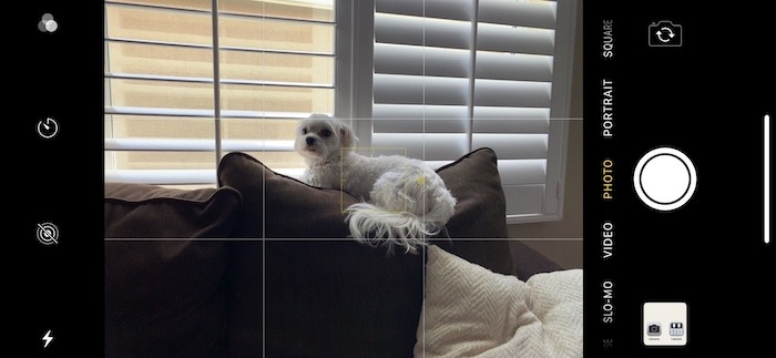 How To Use Iphone Camera Focus