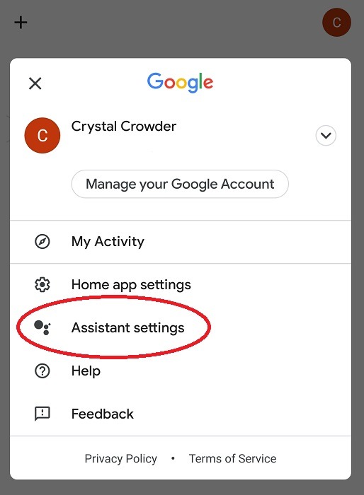How To Watch Netflix On Nest Hub Assistant Settings