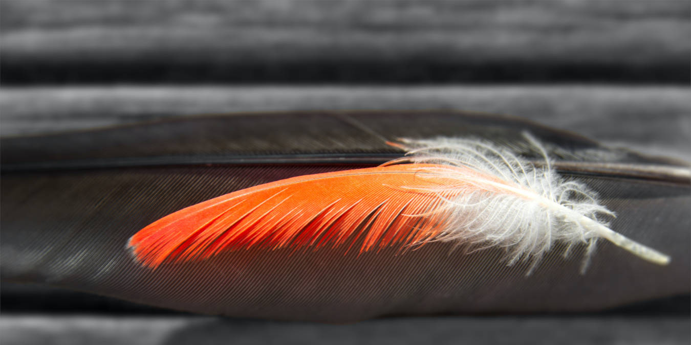 LXDE Review: Light as a Feather