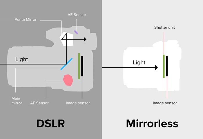 Dslr Vs Mirrorless Difference Sensor