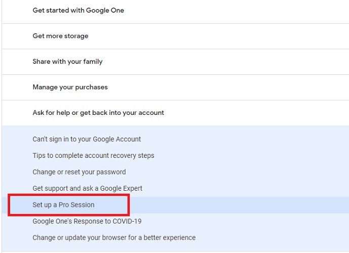 Locked Out Google Pro Session