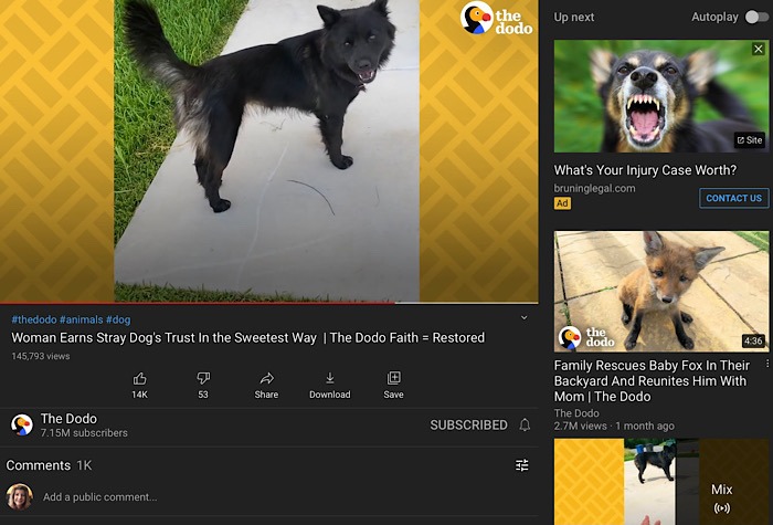 News Mozilla Youtube Recommendations Dog