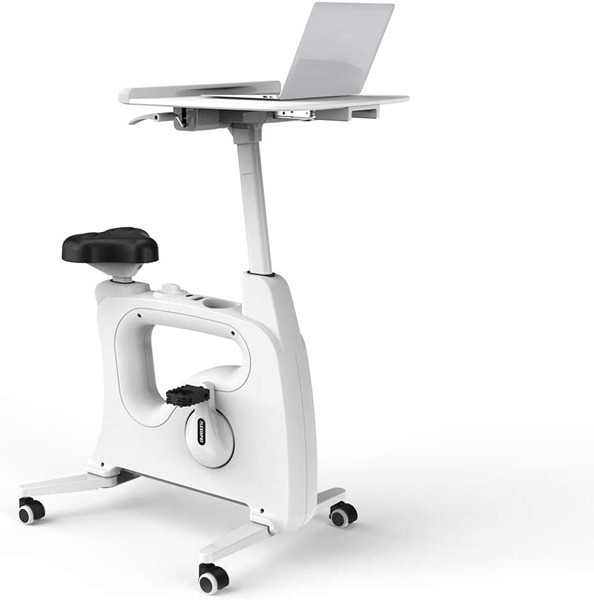 Flexispot Laptop Stand Bike