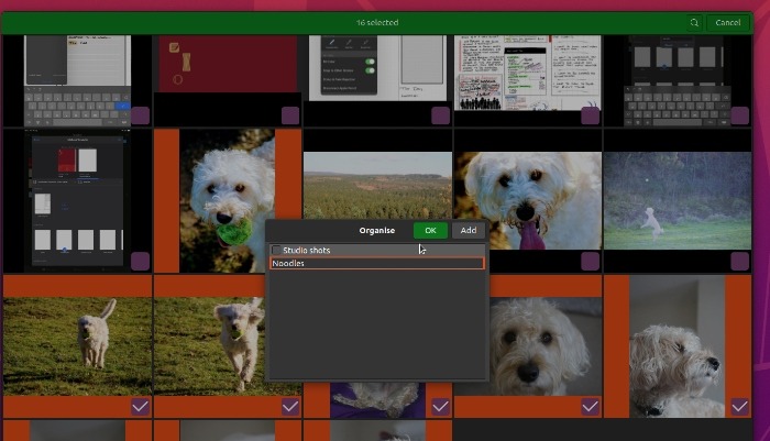 Screenshot from Gnome Photos showing the interface for setting up an album of photos on a theme.