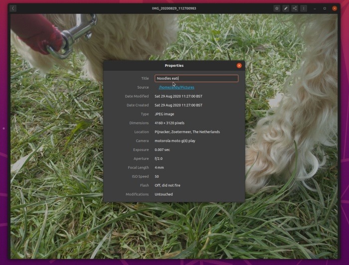 Screenshot showing the Properties section of an individual image in Gnome Photos. It allows for some basic file editing.