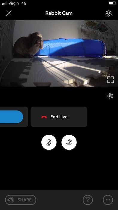 Launch the live feed from your pet cam, and tap the cog icon in the upper-right corner.