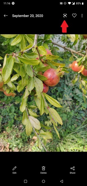 Six More Google Lens Features Native Photo App