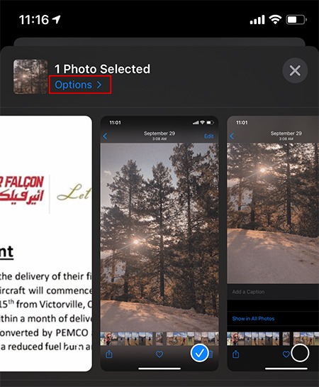 Add Captions Photos Ios Options