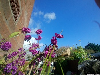 Akaso Keychain Example Photo