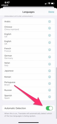 Apple Translate App Ios14 Automatic Detection