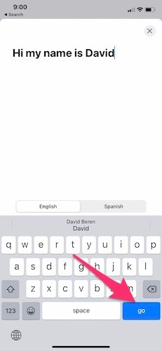 Apple Translate App Ios14 Text Translation