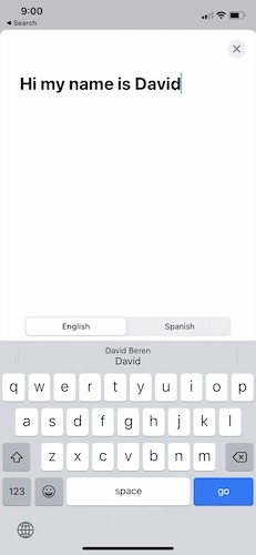Apple Translate App Ios14 Text Translation