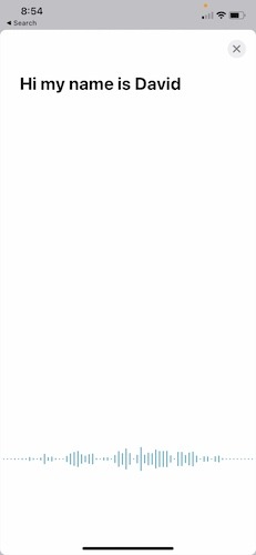 Apple Translate App Ios14 Voice Translation