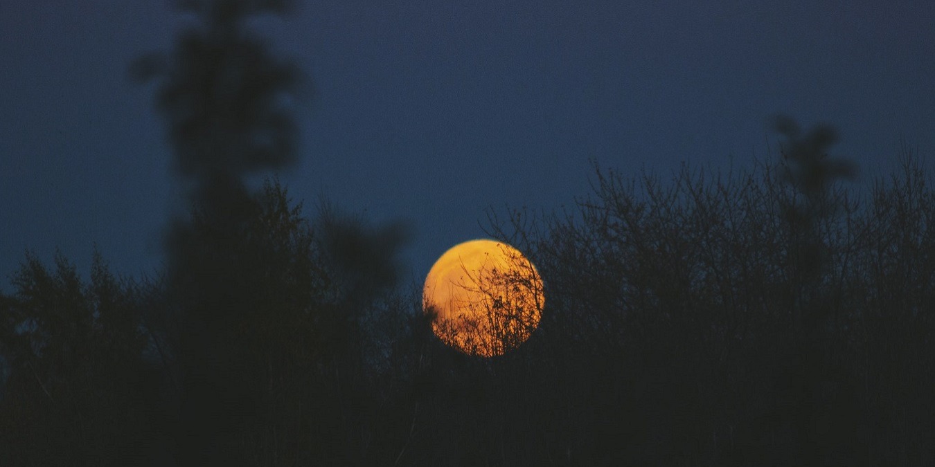 How To Force Dark Mode All Apps Featured