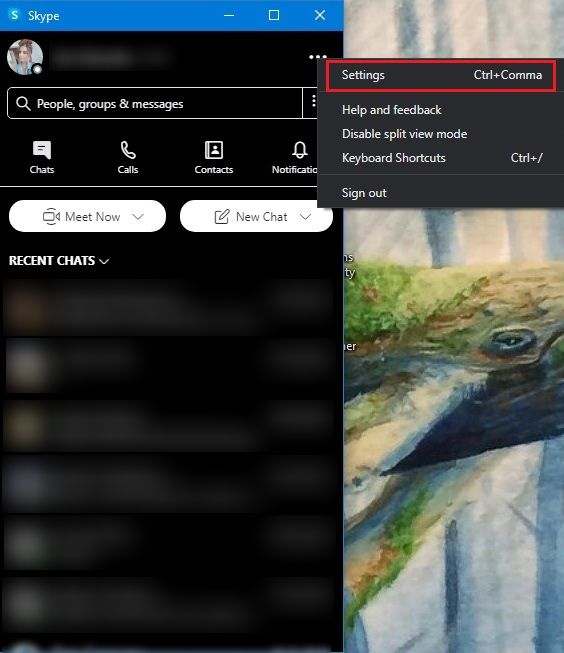 Skype Tricks Open Settings