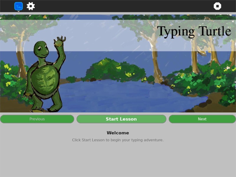 Sugar Typing Turtle