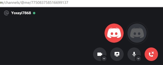 Discord Screenshare Call Made