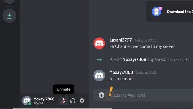 Discord Screenshare Unmute