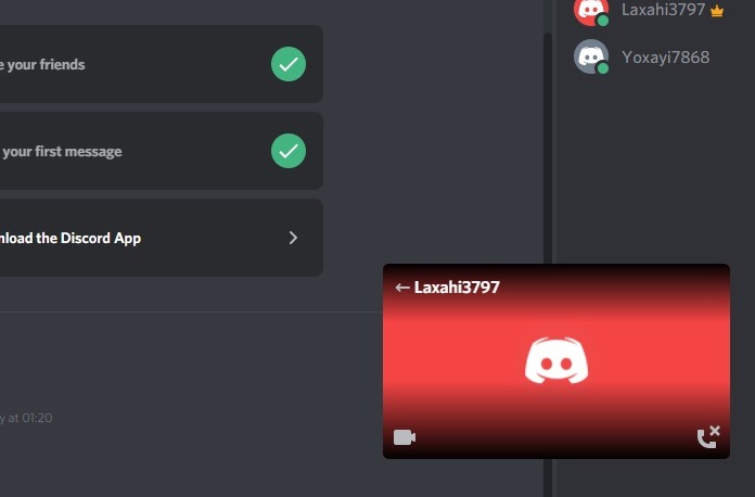 Discord Screenshare Video Received