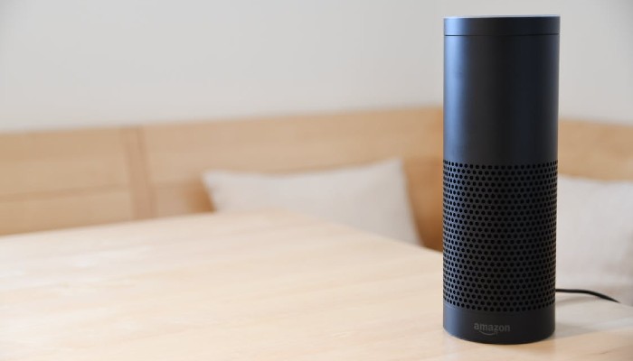 Amazon Sidewalk Alexa