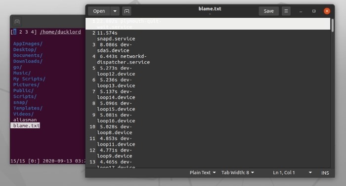 Navigate Filesystem With Nnn Viewing Text Files