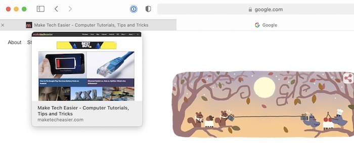 New Features Safari 14 Tab Preview