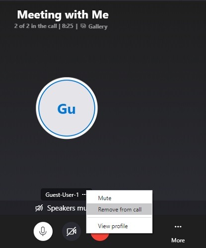 Skype Meet Now Remove From Call