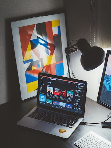 Spotify Passwords Website