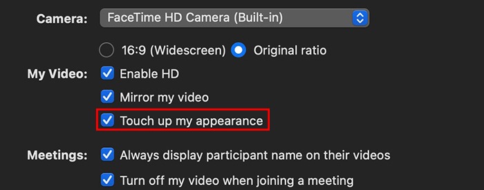 Virtual Background Zoom Touch Up