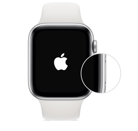 Find Everything Apple Watch Side Button