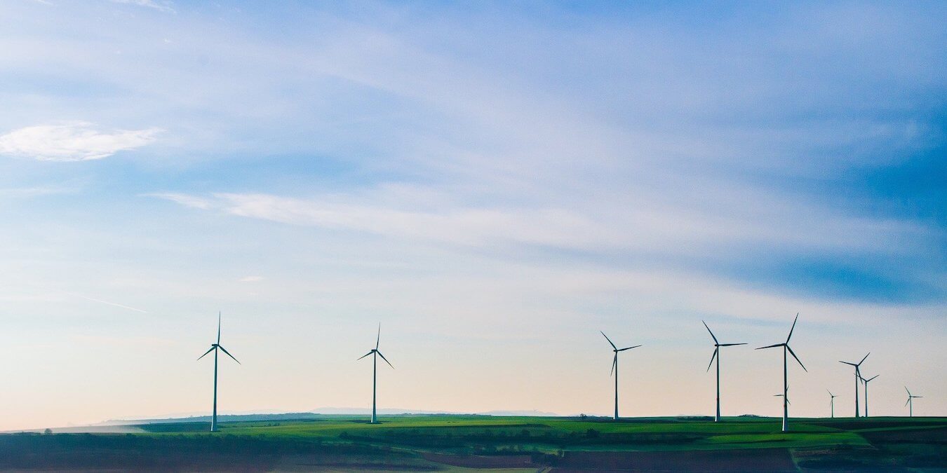 A field of wind turbines.
