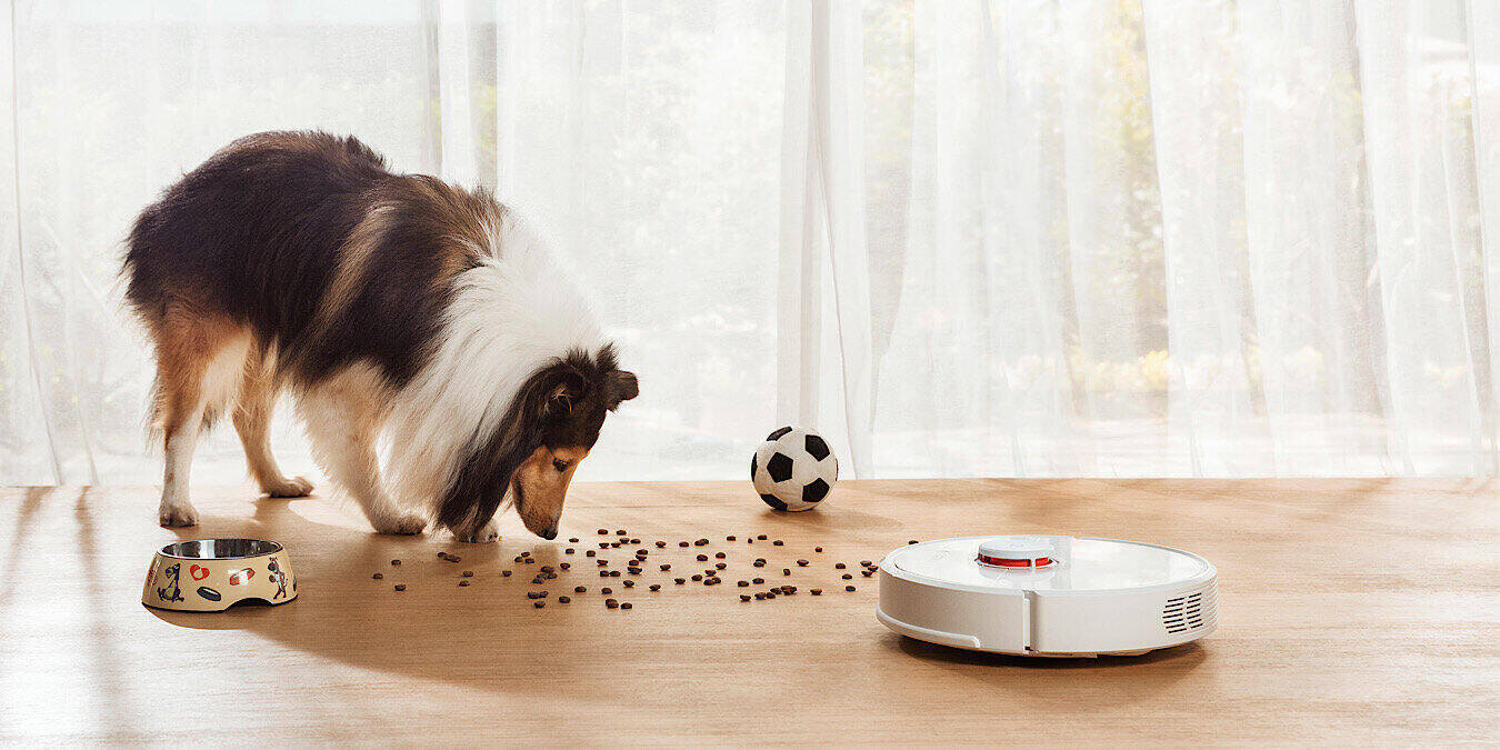 Deal Roborock S6 Featured