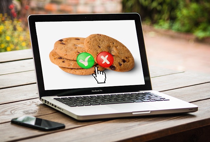 Google Cookies Flocks Third Party