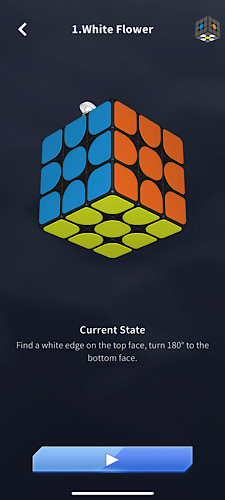 Super Cube White Flower