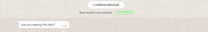How To Read Messages Whatsapp Invisible Waincognito In Action