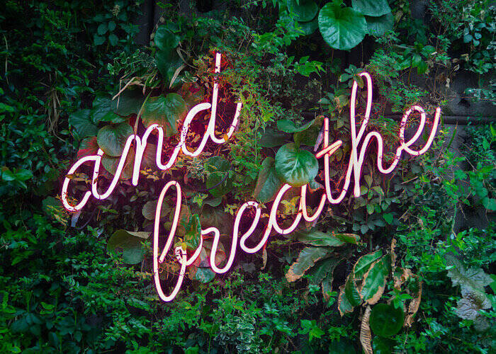 Google Heart Rate Breathe