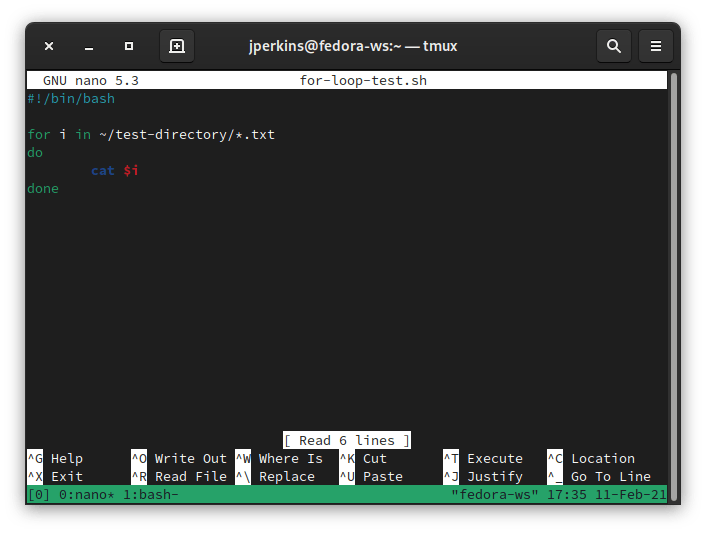 Bash for loop directory