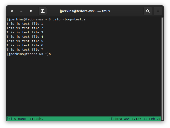 Bash for loop directory output